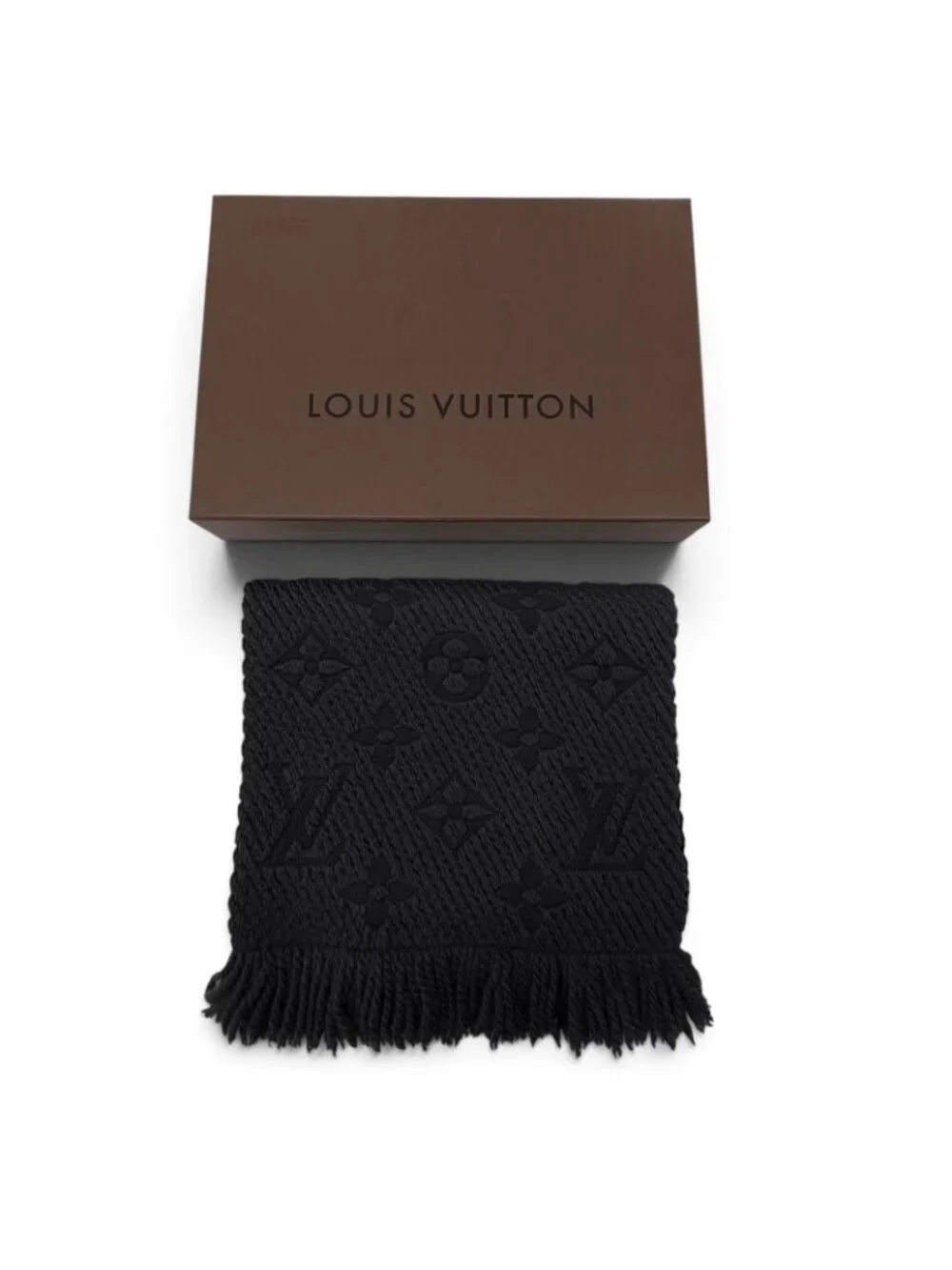 Louis Vuitton brand louis